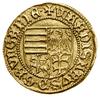 Goldgulden, bez daty (1443–1444), Baia Mare (Nagybánya); Aw: Czteropolowa tarcza herbowa, + WLADIS..