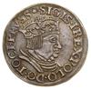 Trojak, 1536, Gdańsk; popiersie króla z wąską głową, w legendzie awersu TOCI PRVSS; CNG 70.I.b, Ig..