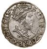 Grosz, 1556, Gdańsk; odmiana z małą głową króla, z jednoczęściową brodą, PRV w legendzie awersu; B..