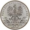 20 złotych, 1996, Warszawa; Jeż - Erinaceus europaeus; Parchimowicz 742; srebro próby 925, 31.15 g..