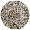 Grosz, 1544, Królewiec; szeroka broda władcy, końcówka legendy awersu PRVSS; Kop. 3788 (R3), Slg. ..