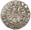 Szeląg, 1557, Królewiec; Kop. 3767 (R1), Neumann 48, Slg. Marienburg 1217, Voss. 1409; duży blask ..