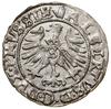 Szeląg, 1558, Królewiec; Kop. 3768 (R), Neumann 48, Slg. Marienburg 1223, Voss. 1411; bardzo ładni..
