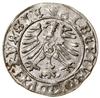 Szeląg, 1558, Królewiec; w legendzie awersu ALBERTVS; Kop. 3768 (R), Neumann 48, Slg. Marienburg 1..