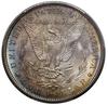 1 dolar, 1899 O, Nowy Orlean; typ Morgan; KM 110; moneta w pudełku PCGS 7260.64/40122442 z oceną M..