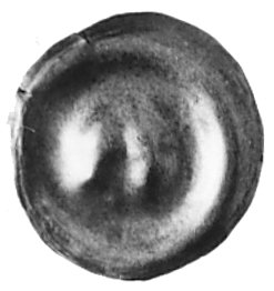 brakteat; 2 orły heraldyczne, Fbg 817, 0,44 g.