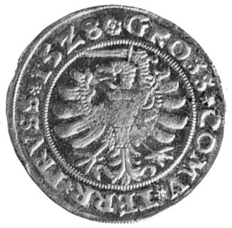 grosz 1528, Toruń, Aw: Popiersie i napis, Rw: Or