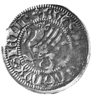 szeląg 1489, Gardziec, Aw: Gryf i tytulatura Bogusława X, Rw: Rugijska tarcza herbowa i napis, Kop.1,lGa.2a-R-, jest to pierwsza moneta zachodniopomorska z datą
