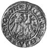 szeląg 1546, Gdańsk, Aw: Orzeł i napis, Rw: Herb Gdańska i napis, Kop.II.8, Gum.555