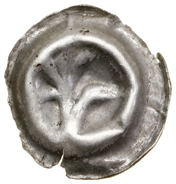 Brakteat, XIII–XIV w., Łapa orła w lewo