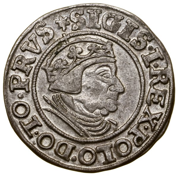 Grosz, 1539, Gdańsk; na awersie końcówka legendy