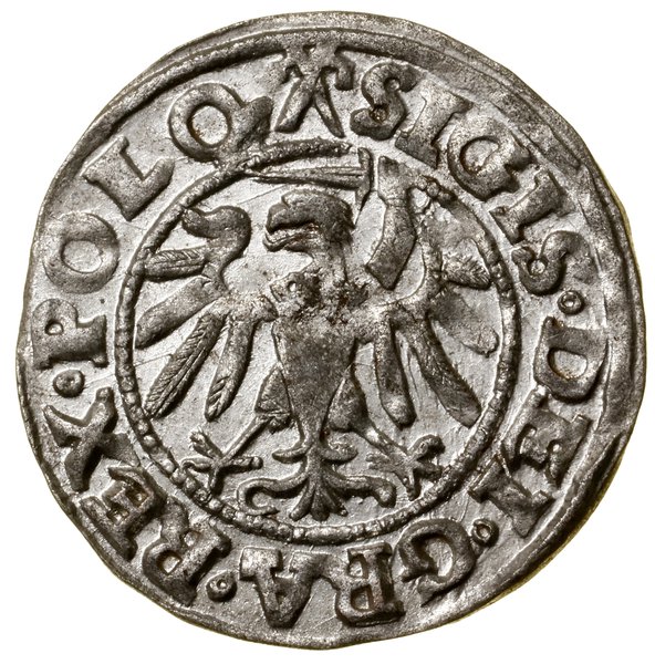 Szeląg, 1538, Gdańsk; w legendzie awersu POLO; B