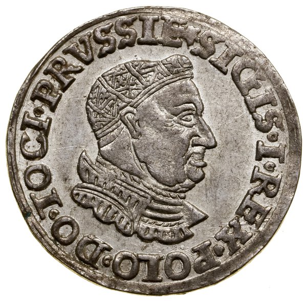 Trojak, 1535, Toruń