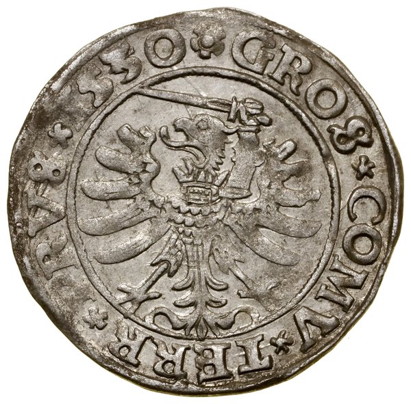 Grosz, 1530, Toruń; końcówki legend PRVS / PRVS;
