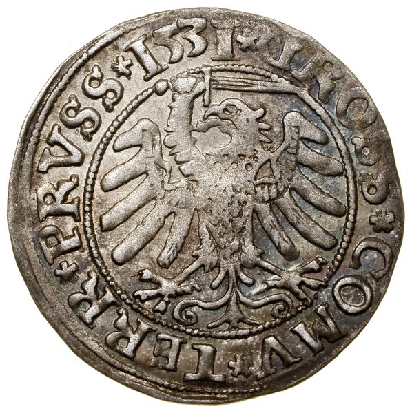 Grosz, 1531, Toruń; końcówki legend PRVS / PRVSS