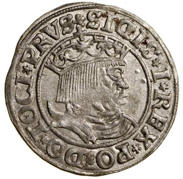 Grosz, 1531, Toruń