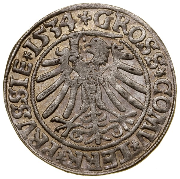 Grosz, 1534, Toruń