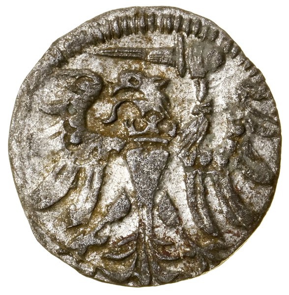 Denar, 1558, Gdańsk
