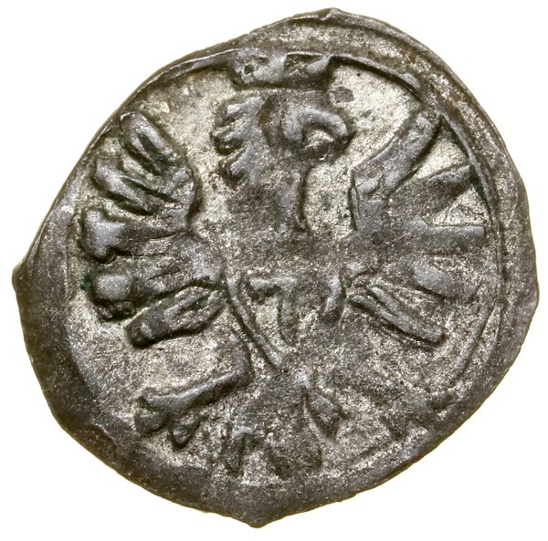 Denar, 1609, Poznań; Kop. 7960 (R4), Kopicki (ZI