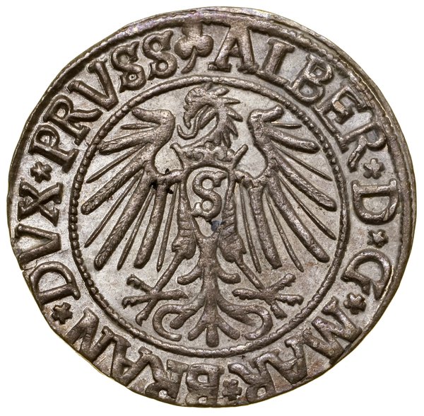 Grosz, 1541, Królewiec