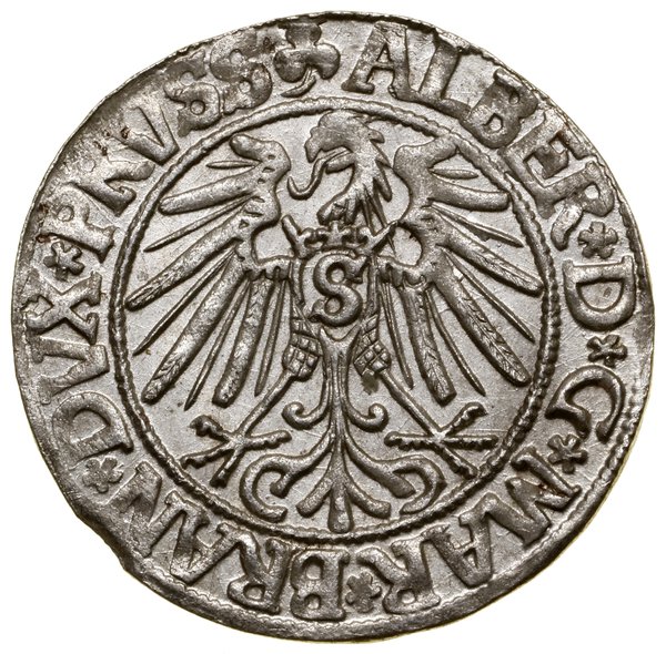Grosz, 1543, Królewiec