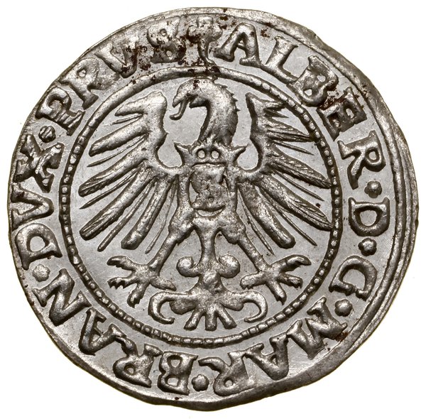 Grosz, 1546, Królewiec; książę z wysokim kołnier