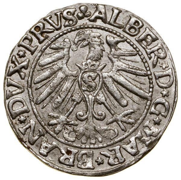 Grosz, 1546, Królewiec; książę z wysokim kołnier