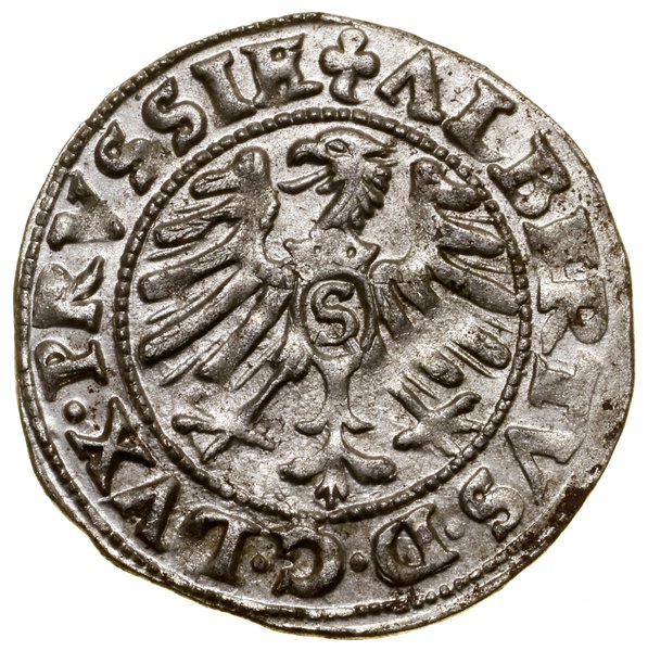 Szeląg, 1554, Królewiec