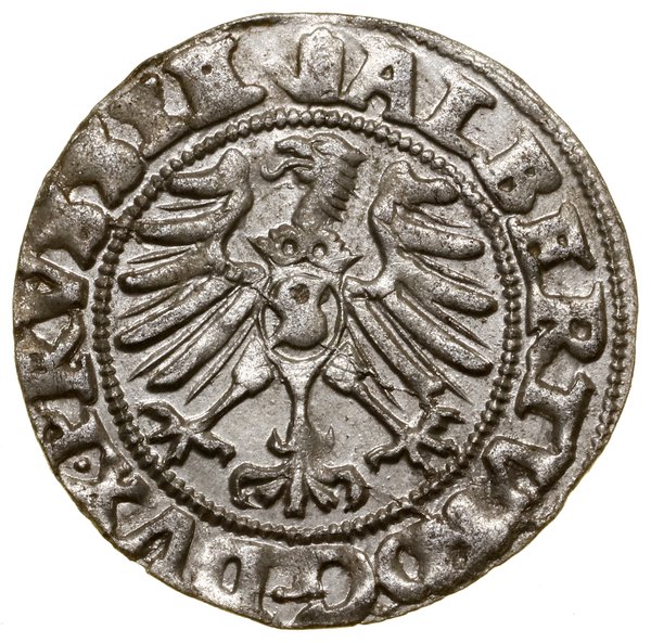 Szeląg, 1557, Królewiec; Kop. 3767 (R1), Slg. Ma