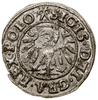 Szeląg, 1539, Gdańsk; w legendzie awersu POLO; Białk.-Szw. 209, CNG 54.III.c, Kop. 7282,  Kurp. (1..