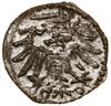 Denar, 1550, Gdańsk; Białk.-Szw. 405, CNG 81.II,