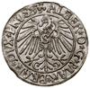 Grosz, 1543, Królewiec; długa broda księcia, końcówka legendy awersu PRVSS; Kop. 3788 (R3),  Slg. ..