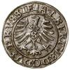 Szeląg, 1558, Królewiec; Kop. 3768 (R), Slg. Marienburg 1223; delikatna patyna, piękny.