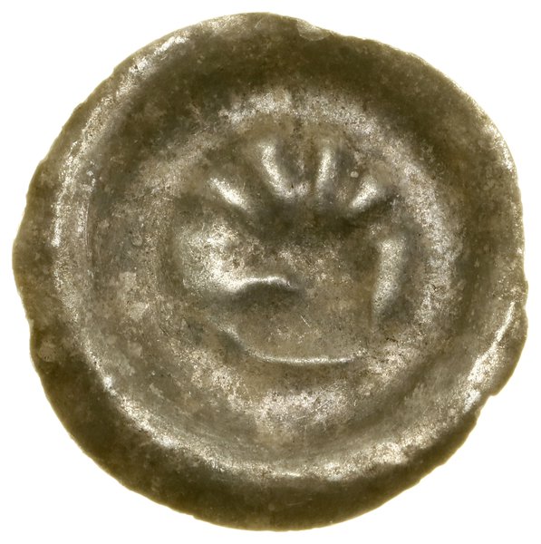Brakteat, (1306–1314)