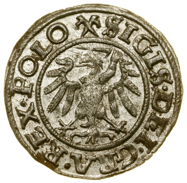 Szeląg, 1539, Gdańsk; data zapisana małymi cyfra