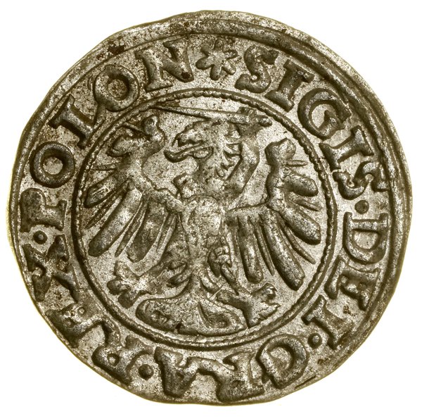 Szeląg, 1546, Gdańsk; znaki inicjalne: na awersi