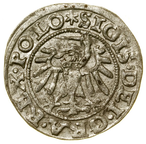 Szeląg, 1547, Gdańsk; znaki inicjalne: na awersi