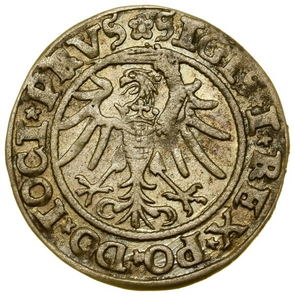 Grosz, 1535, Elbląg; w legendzie awersu PRVS; Bi