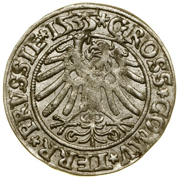 Grosz, 1535, Toruń