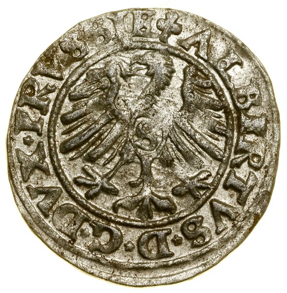 Szeląg, 1550, Królewiec; Kop. 3761 (R), Slg Mari