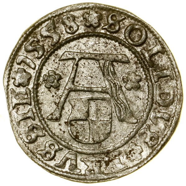Szeląg, 1558, Królewiec; Kop. 3768 (R), Slg Mari