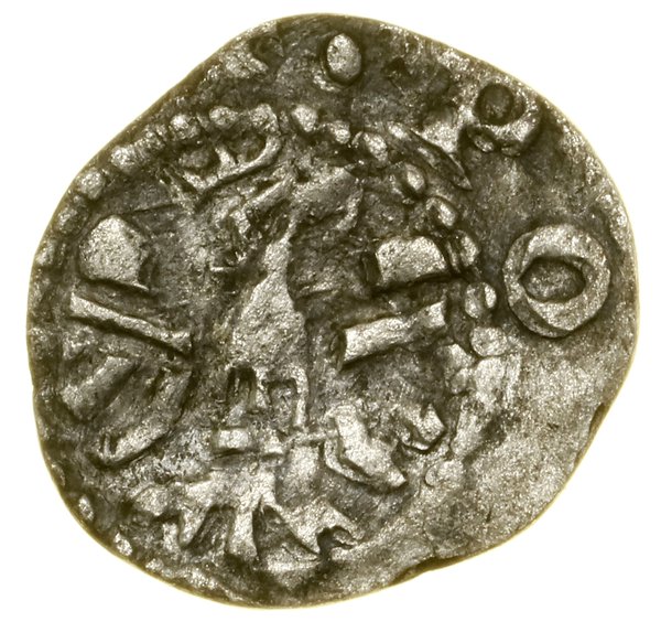 Denar, (po 1320); Aw: Hełm w lewo, z pięcioma pi
