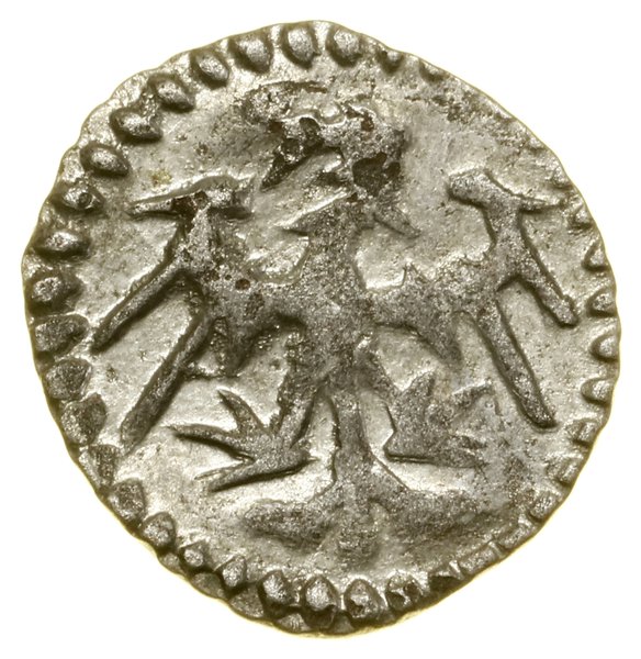 Denar koronny, (od 1404), Wschowa