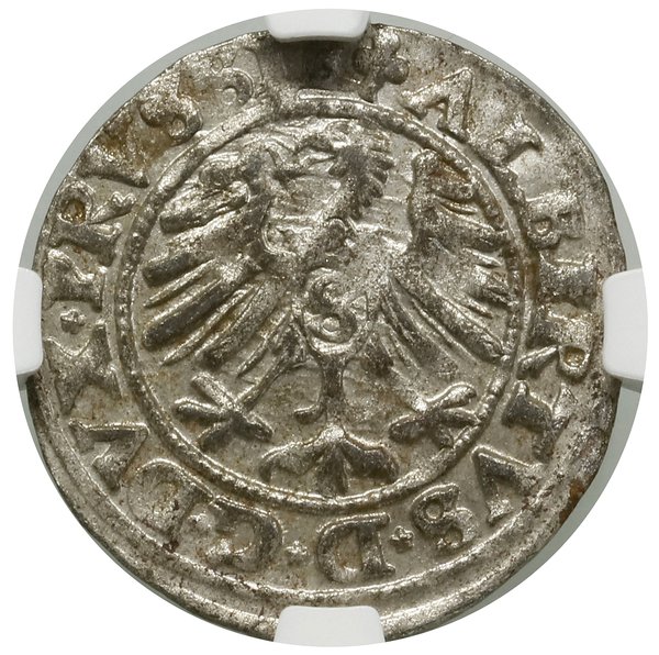 Szeląg, 1550, Królewiec; Kop. 3761 (R), Slg. Mar