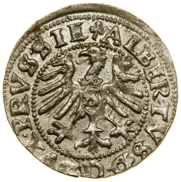 Szeląg, 1557, Królewiec; na awersie nad Orłem ko
