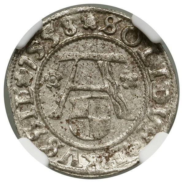 Szeląg, 1558, Królewiec