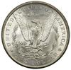 Dolar, 1883 CC, Carson City; typ Morgan; KM 110; pięknie zachowany, moneta w pudełku firmy ANACS, ..