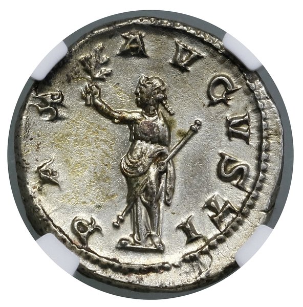 Denar, (236–238), Rzym; Aw: Popiersie cesarza w 