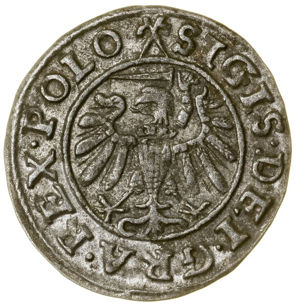 Szeląg, 1539