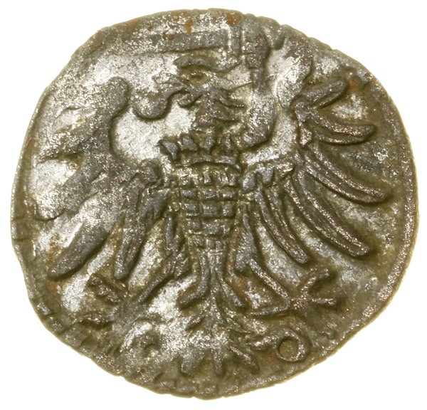 Denar, 1550, Gdańsk; Białk.-Szw. 405 (R3), CNG 8